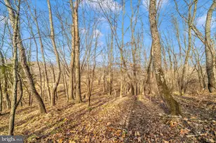 12407 Hill Ct, Mount Airy, MD 21771 - Photo 63