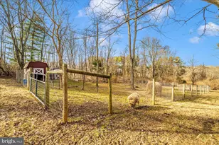 12407 Hill Ct, Mount Airy, MD 21771 - Photo 61