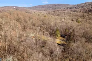 12804 Spruce Run Rd, Myersville, MD 21773 - Photo 63