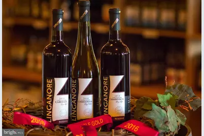 5209 Woodville Road, Mount Airy, MD 21771 - Photo 69