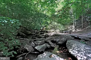 5723 Meadowood St, New Market, MD 21774 - Photo 55