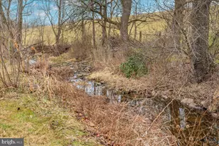 11646 Creagerstown Rd, Woodsboro, MD 21798 - Photo 49