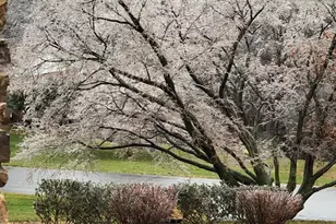 7206 Drought Spring Dr, Frederick, MD 21702 - Photo 45