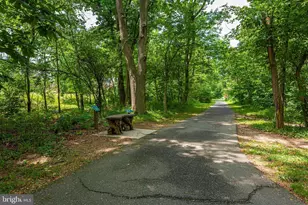 910 McLendon Dr, Frederick, MD 21702 - Photo 61