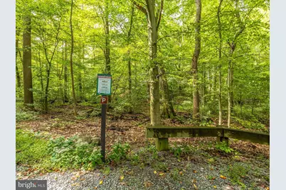 16015 Foxville Deerfield Road, Sabillasville, MD 21780 - Photo 13