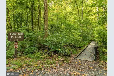 16015 Foxville Deerfield Road, Sabillasville, MD 21780 - Photo 15