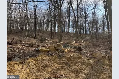 16015 Foxville Deerfield Road, Sabillasville, MD 21780 - Photo 5