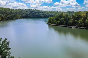 10304 Horn, New Market, MD 21774 - Photo 63