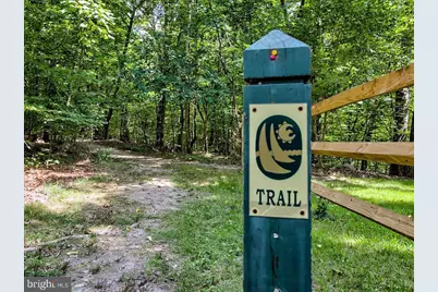 6713 Box Turtle Court, New Market, MD 21774 - Photo 65