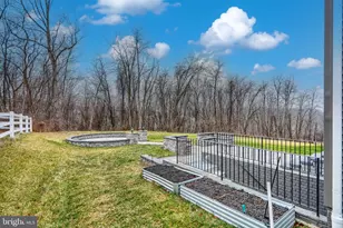 13605 Otono Dr, Mount Airy, MD 21771 - Photo 5