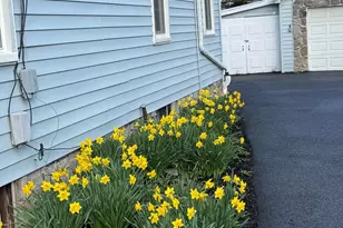 2780 Adams St, Adamstown, MD 21710 - Photo 5