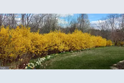 10244 Royal Saint Andrews Place, Ijamsville, MD 21754 - Photo 59