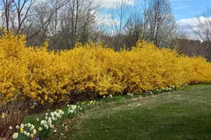 10244 Royal St Andrews Pl, Ijamsville, MD 21754 - Photo 59