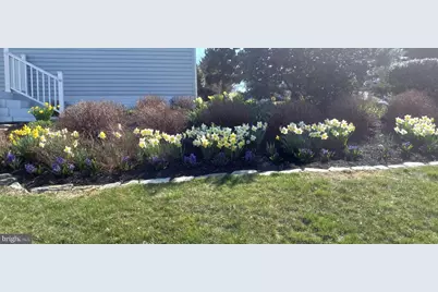 10244 Royal Saint Andrews Place, Ijamsville, MD 21754 - Photo 43