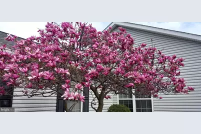 10244 Royal Saint Andrews Place, Ijamsville, MD 21754 - Photo 61