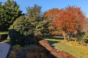 10244 Royal St Andrews Pl, Ijamsville, MD 21754 - Photo 57