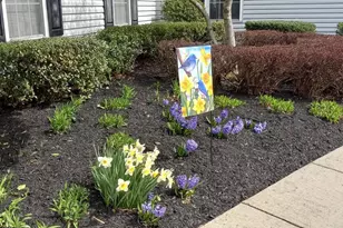 10244 Royal St Andrews Pl, Ijamsville, MD 21754 - Photo 55