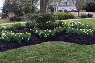 10244 Royal St Andrews Pl, Ijamsville, MD 21754 - Photo 63