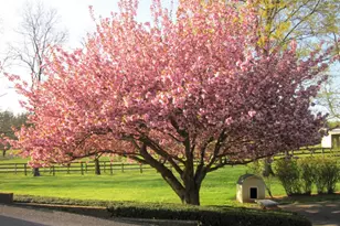 6501 Green Valley Rd, New Market, MD 21774 - Photo 35