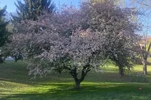 4205 Rolling Acres Dr, Mount Airy, MD 21771 - Photo 3