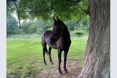 12420 Smith Lane, Keymar, MD 21757 - Photo 13