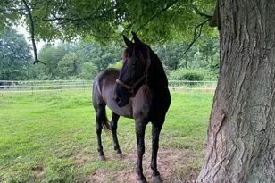 12420 Smith Ln, Keymar, MD 21757 - Photo 13