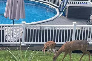 6348 Quinn Rd, Frederick, MD 21701 - Photo 45