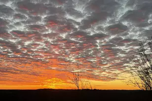 7031 Eaglehead Dr, New Market, MD 21774 - Photo 11