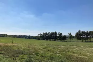 4354 Brubaker Wy, Ijamsville, MD 21754 - Photo 3