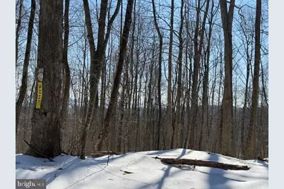 Boonsboro Mt. Road, Myersville, MD 21773 - Photo 7