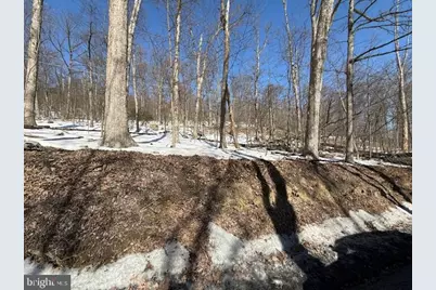 Boonsboro Mt. Road, Myersville, MD 21773 - Photo 3