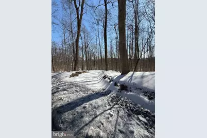 Boonsboro Mt. Road, Myersville, MD 21773 - Photo 1