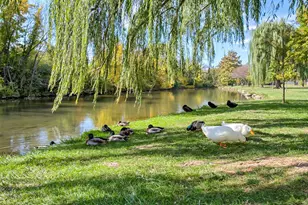 13 2nd, Frederick, MD 21701 - Photo 45