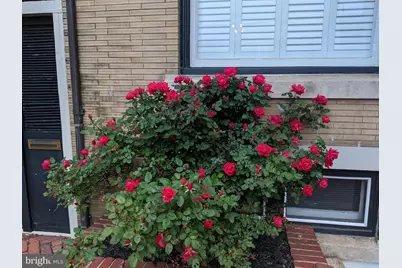 13 2nd, Frederick, MD 21701 - Photo 37