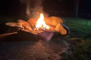 6529 Mountaindale Rd, Thurmont, MD 21788 - Photo 57