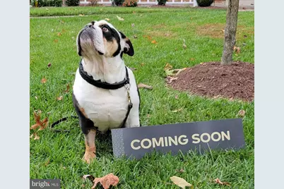 5319 Saint Mawes Court, Frederick, MD 21703 - Photo 1