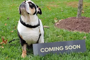 5319 St Mawes Ct, Frederick, MD 21703 - Photo 1