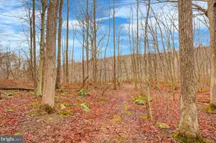 16024 Foxville Deerfield Rd, Sabillasville, MD 21780 - Photo 73