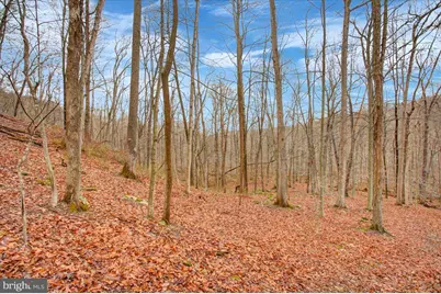 16024 Foxville Deerfield Road, Sabillasville, MD 21780 - Photo 75