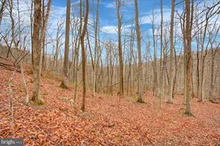 16024 Foxville Deerfield Rd, Sabillasville, MD 21780 - Photo 75