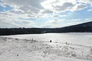 Tract 1: 108+/- Acres At 16751 Scott Rd, Emmitsburg, MD 21727 - Photo 11