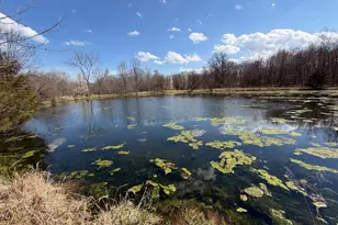 Tract 1: 108+/- Acres At 16751 Scott Rd, Emmitsburg, MD 21727 - Photo 7