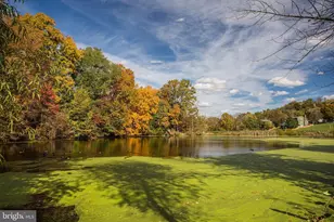 6072 Fallfish Ct, New Market, MD 21774 - Photo 65