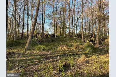 12509 Stottlemyer Road, Myersville, MD 21773 - Photo 13