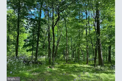 12509 Stottlemyer Road, Myersville, MD 21773 - Photo 3