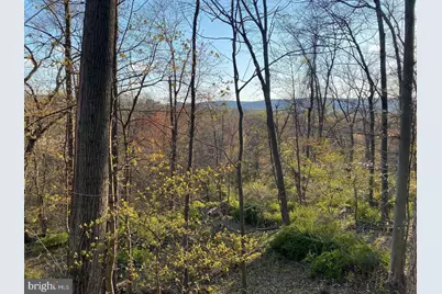 12509 Stottlemyer Road, Myersville, MD 21773 - Photo 11