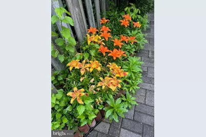 2022 Sumner Drive, Frederick, MD 21702 - Photo 35