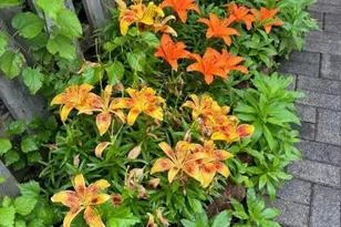 2022 Sumner Dr, Frederick, MD 21702 - Photo 35