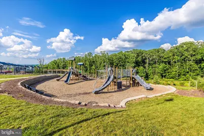 6035 Fallfish, New Market, MD 21774 - Photo 57