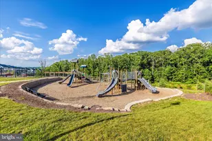 6035 Fallfish, New Market, MD 21774 - Photo 57